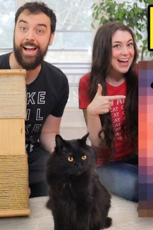 Remaking our first cat scratching post